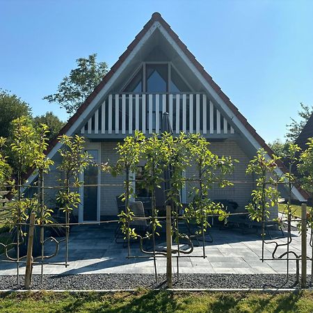 Haus Kormoran Am Lauwersmeer 175 Anjum Zewnętrze zdjęcie