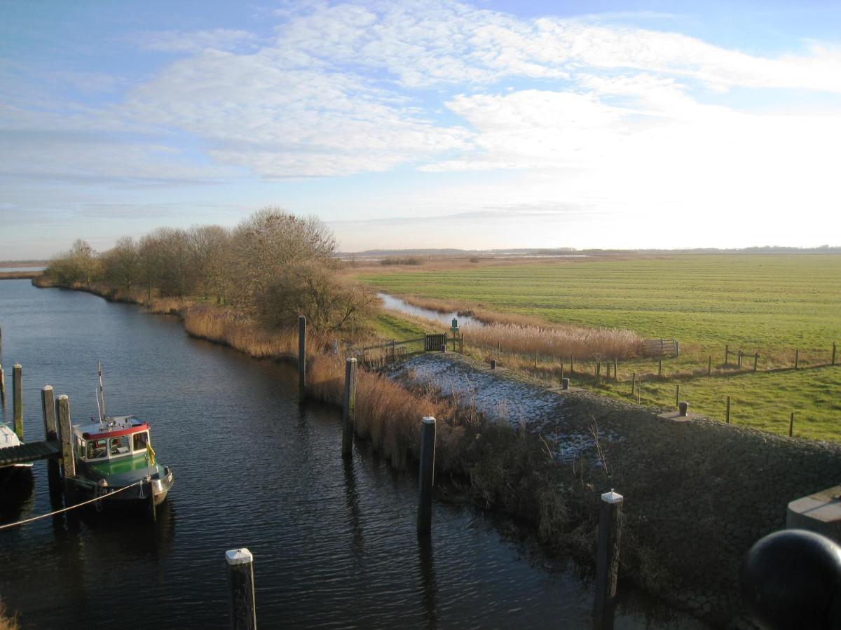 Haus Kormoran Am Lauwersmeer 175 Anjum Zewnętrze zdjęcie